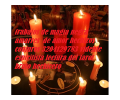 Trabajos De Magia Negra En Bogota 3204129783 Amarres De Amor Hechizos De Amor Regresode Parejas Conj