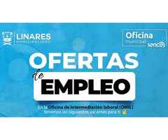 Asistente virtual sin experiencia-auxiliar